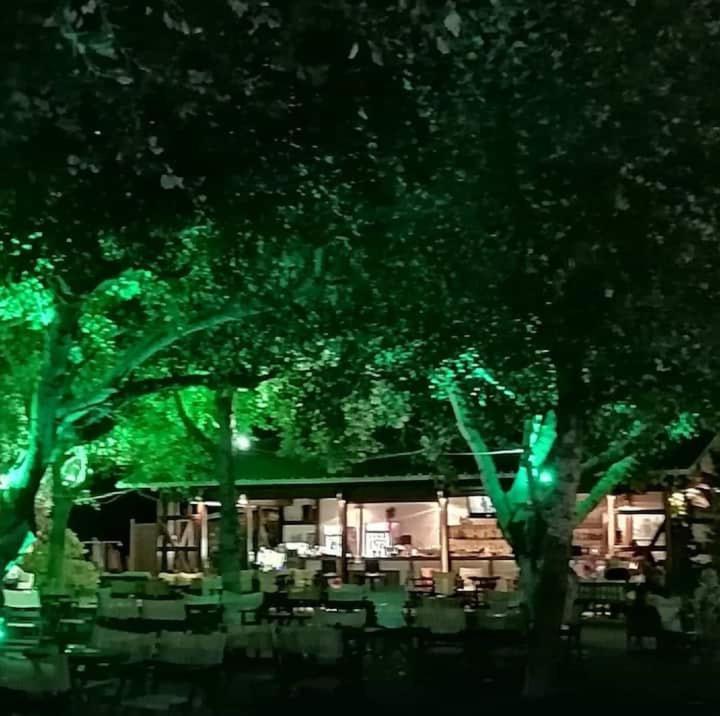Hara'S Houses A 弗洛伊塔 外观 照片